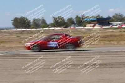 media/Oct-04-2025-OnGrid (Sat) [[44bd565ffa]]/Purple Group/Grapevine/